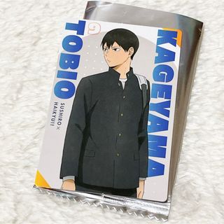 マジック:ザ・ギャザリング - MTG FOIL【61枚まとめ売り】 PSA マジック:ザ・ギャザリング - MTG FOIL【61枚まとめ売り】 PSA
