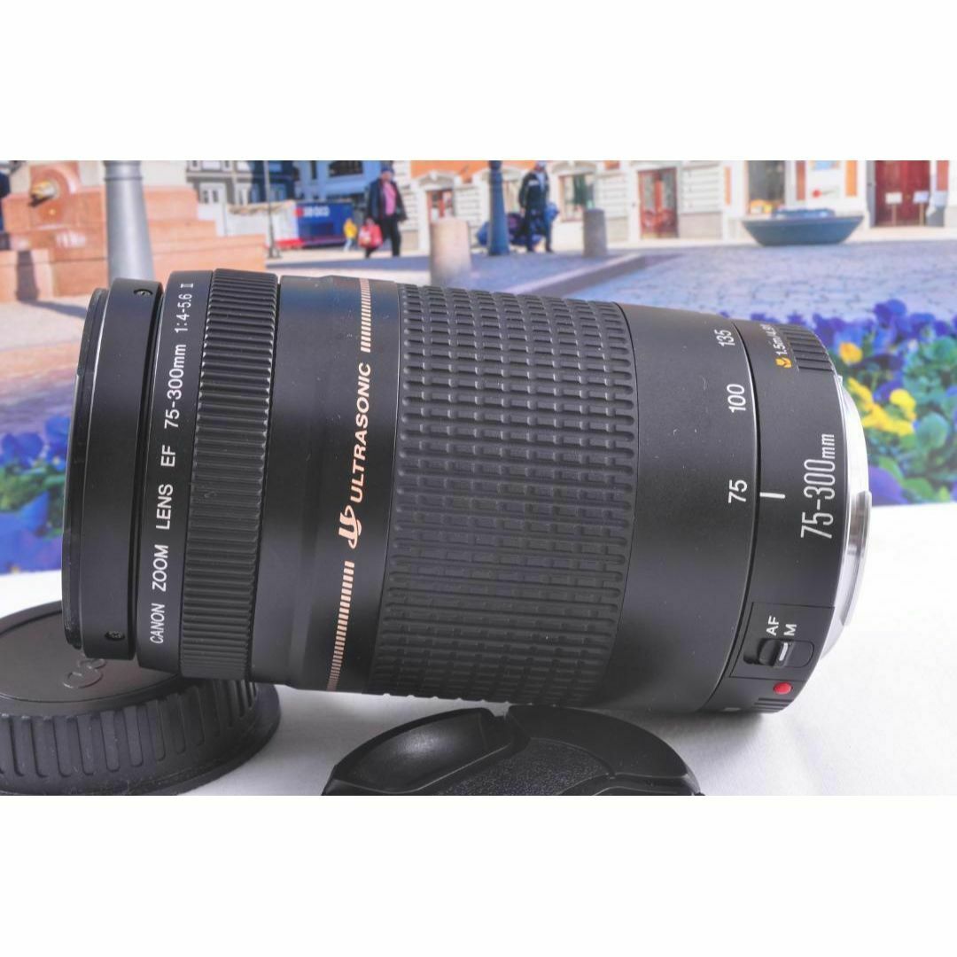 キヤノン望遠レンズ Canon EF 75-300㎜ 1:4-5.6 明るくっ Ⅲ キヤノン望遠レンズ Canon EF 75-300㎜ 1:4-5.6 明るくっ Ⅲ