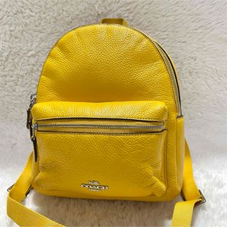 COACH - 美品 コーチ 希少 リュック バックパック シグネチャー COACH - 美品 コーチ 希少 リュック バックパック シグネチャー