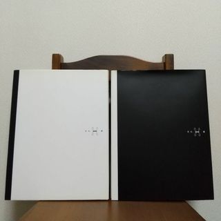 雅 写真集 「羽化」 上巻・下巻セット(ミュージシャン)