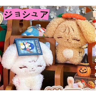 SEVENTEEN - seventeenぬいぐるみ エスクプス 5センチ マスター SEVENTEEN - seventeenぬいぐるみ エスクプス 5センチ マスター