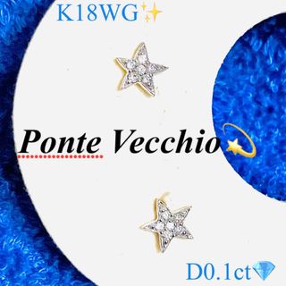 Ponte Vecchio(ピアス)のフリマアイテム一覧 Ponte Vecchio(ピアス)のフリマアイテム一覧