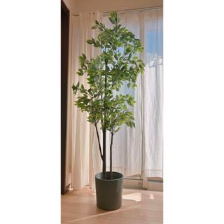 IKEA - 【IKEA】引き取り限定 観葉植物 フェイク植物 人工観葉 IKEA - 【IKEA】引き取り限定 観葉植物 フェイク植物 人工観葉