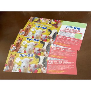 千葉県 マザー牧場 ♡ 入園券３枚 set！♡ ’25 /６.30 迄(動物園)