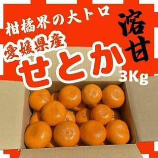 みかんバカの せとか 家庭用3Kg(フルーツ)