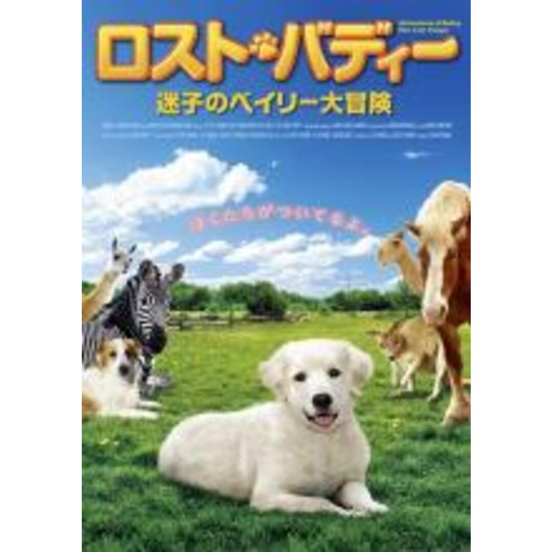 【中古】DVD▼ロスト・バディー 迷子のベイリー大冒険 レンタル落ち エンタメ/ホビーのDVD/ブルーレイ(外国映画)の商品写真