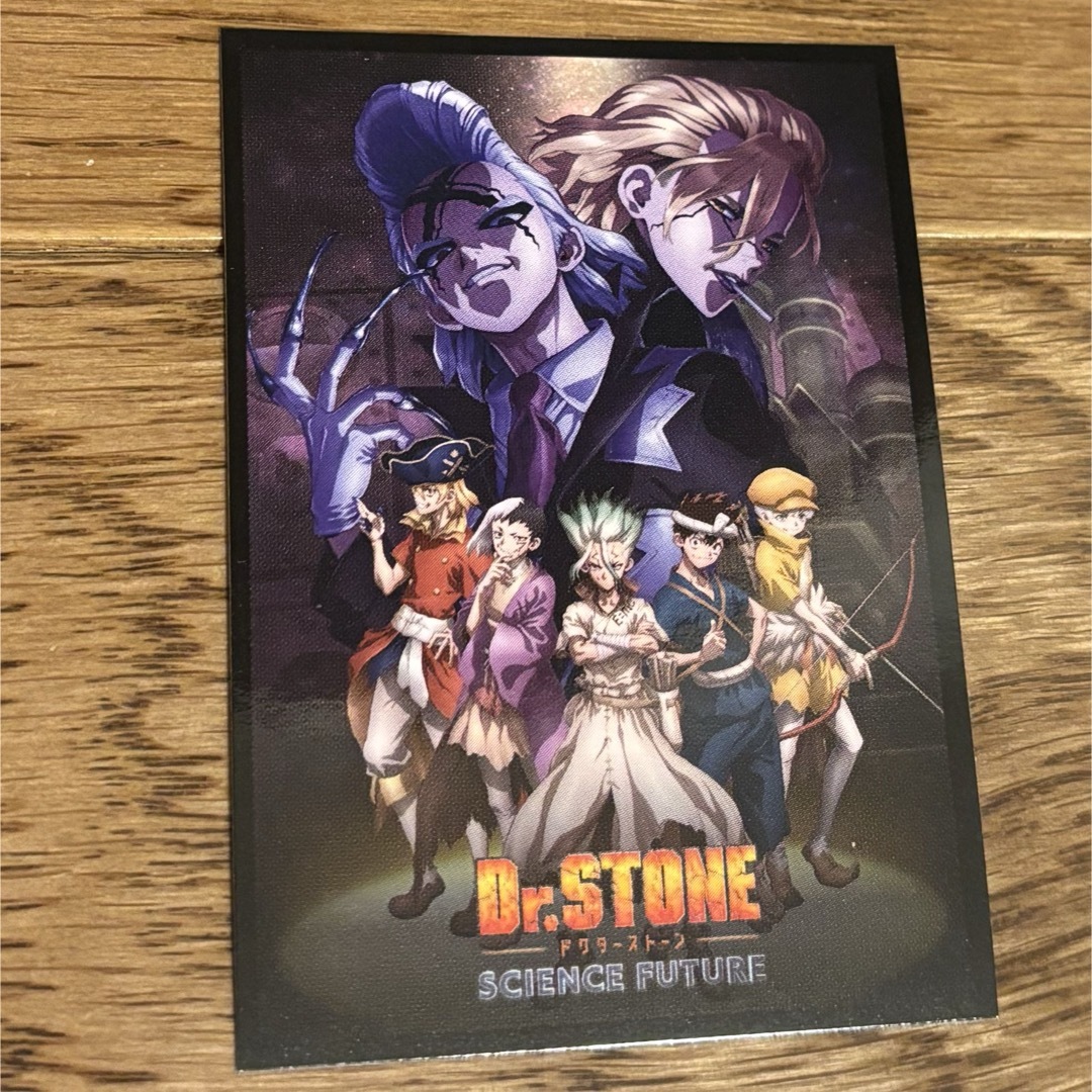集英社(シュウエイシャ)のDr.STONE ステッカー エンタメ/ホビーの声優グッズ(ステッカー(シール))の商品写真