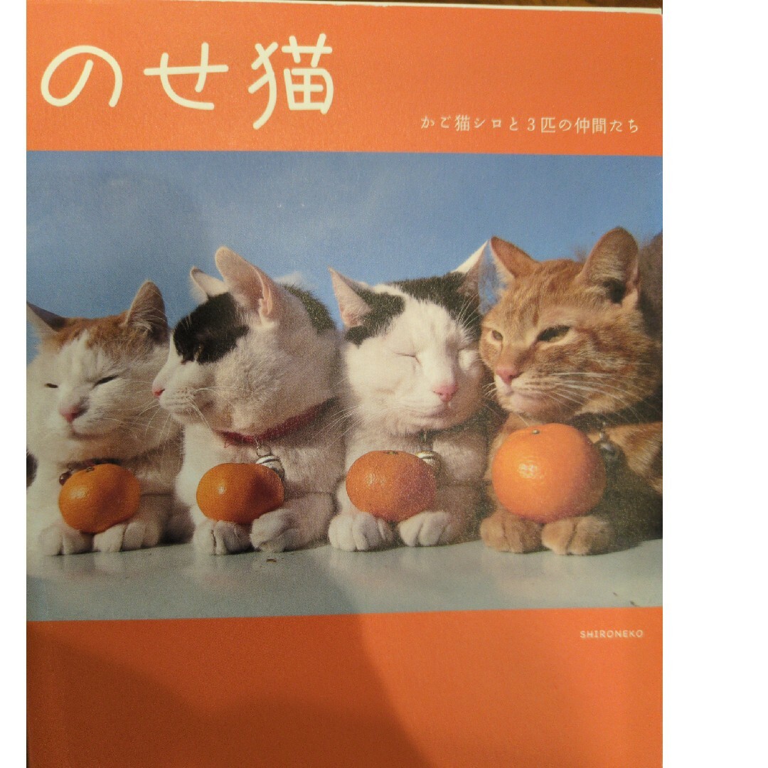 宝島社(タカラジマシャ)ののせ猫 エンタメ/ホビーの本(趣味/スポーツ/実用)の商品写真