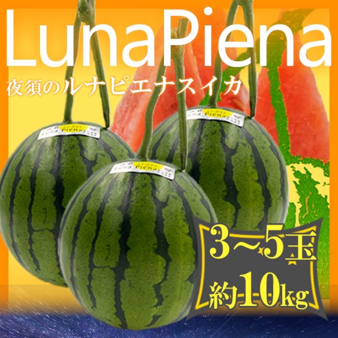 高知県産 ルナピエナ3-5玉 約10kg 食品/飲料/酒の食品(フルーツ)の商品写真