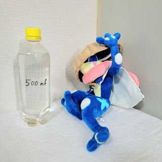 ポケモン(ぬいぐるみ)のフリマアイテム一覧 ポケモン(ぬいぐるみ)のフリマアイテム一覧