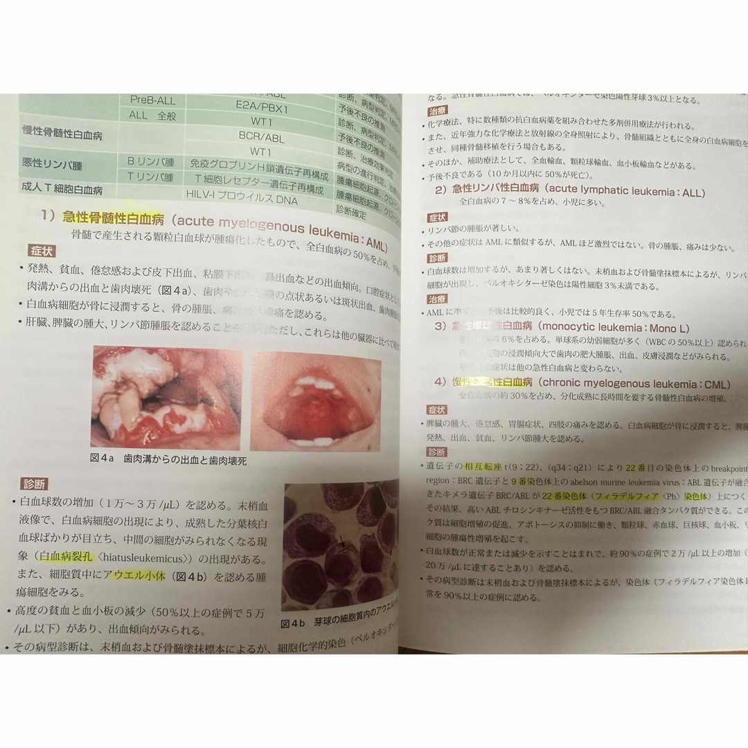口腔内科学　第二班 エンタメ/ホビーの本(健康/医学)の商品写真
