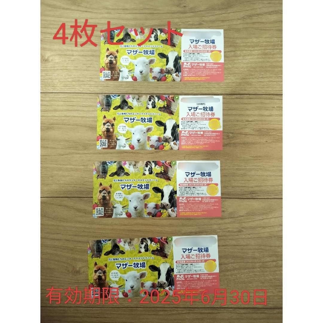 マザー牧場 招待券 6/30まで 4枚セット チケットの施設利用券(遊園地/テーマパーク)の商品写真