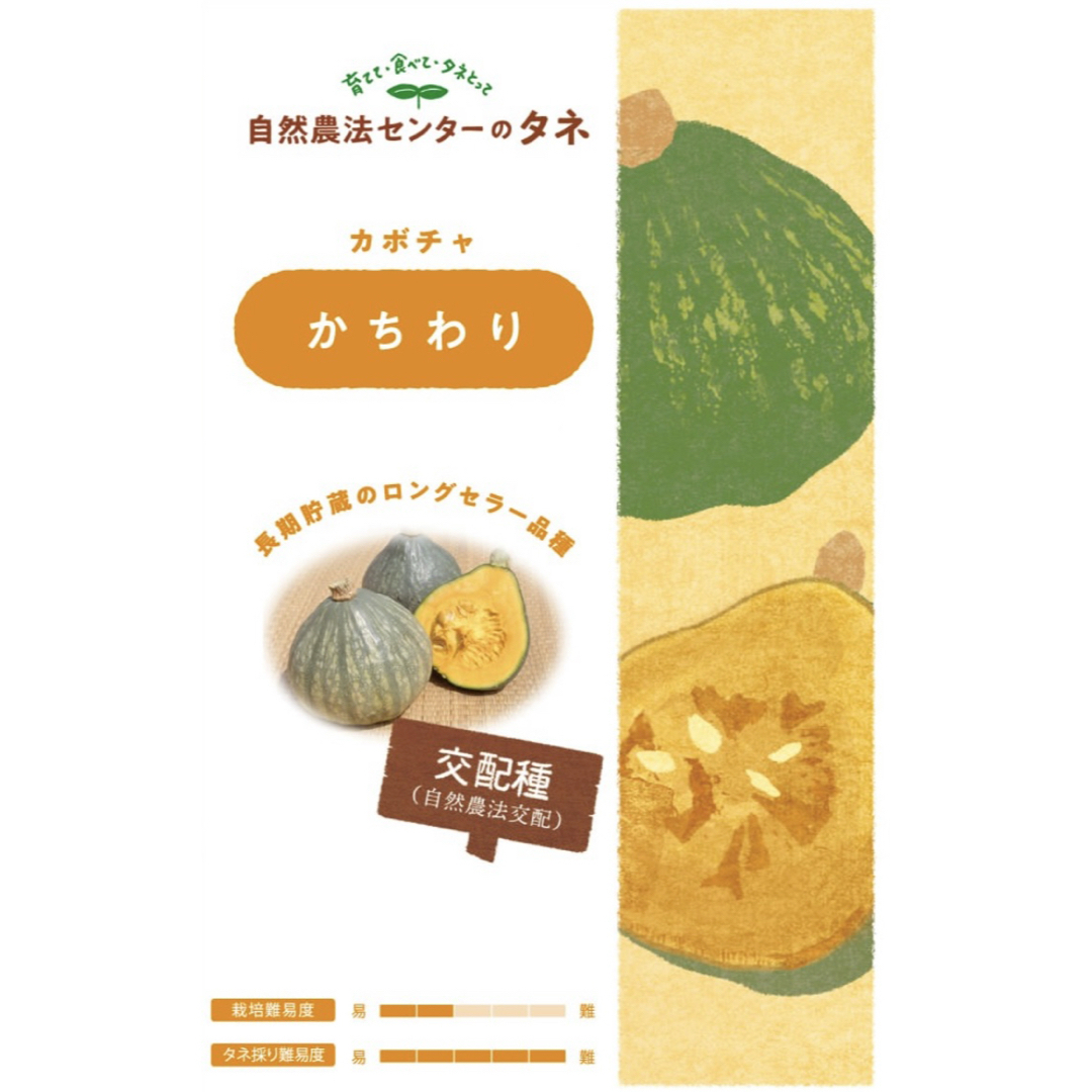 【国内育成・採取】 かちわり 家庭菜園 種 タネ カボチャ 南瓜 野菜 食品/飲料/酒の食品(野菜)の商品写真