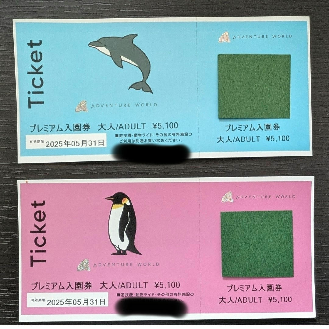 アドベンチャーワールド入園券大人2枚 チケットの施設利用券(動物園)の商品写真
