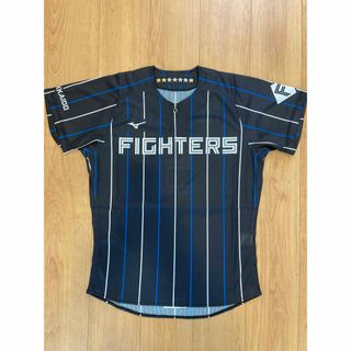 北海道日本ハムファイターズ - fighters フランミルレイエス選手 北海道日本ハムファイターズ - fighters フランミルレイエス選手