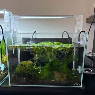 Aqua Design Amano - ADA キューブガーデン 30センチ キューブ Aqua Design Amano - ADA キューブガーデン 30センチ キューブ