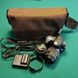 SONY - ❤即購入で1000円OFF❤ SONY α200 その一枚、一枚が世界 SONY - ❤即購入で1000円OFF❤ SONY α200 その一枚、一枚が世界