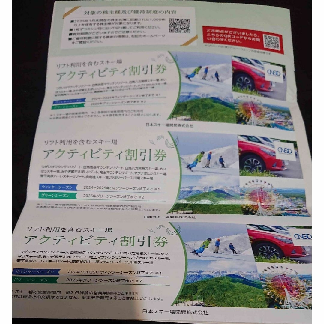 最新 電子.紙両方 日本駐車場開発 2025年1月・1000株株主優待 その2 チケットの施設利用券(スキー場)の商品写真
