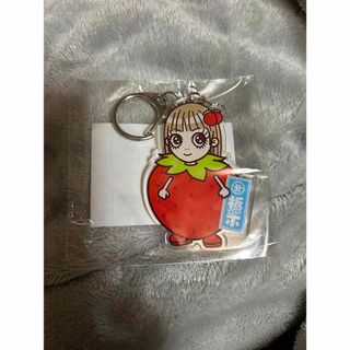 エイベックス(avex)の浜崎あゆみ　25th Anniversary 会場限定キーホルダー　栃木(ミュージシャン)