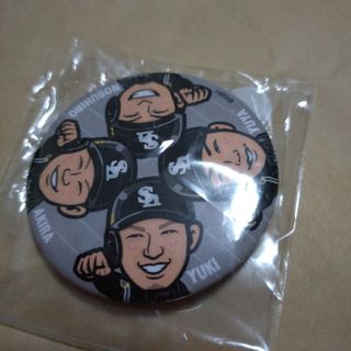 福岡ソフトバンクホークス - 甲斐拓也【ソフトバンク】ルーキー 福岡ソフトバンクホークス - 甲斐拓也【ソフトバンク】ルーキー