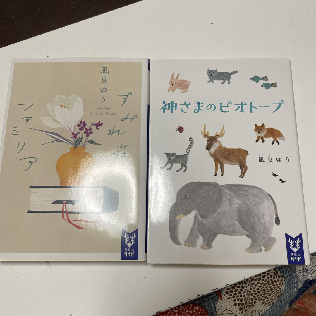 講談社(コウダンシャ)の神さまのビオトープ/ すみれ荘ファミリア(講談社タイガ) 凪良 ゆう エンタメ/ホビーの本(文学/小説)の商品写真