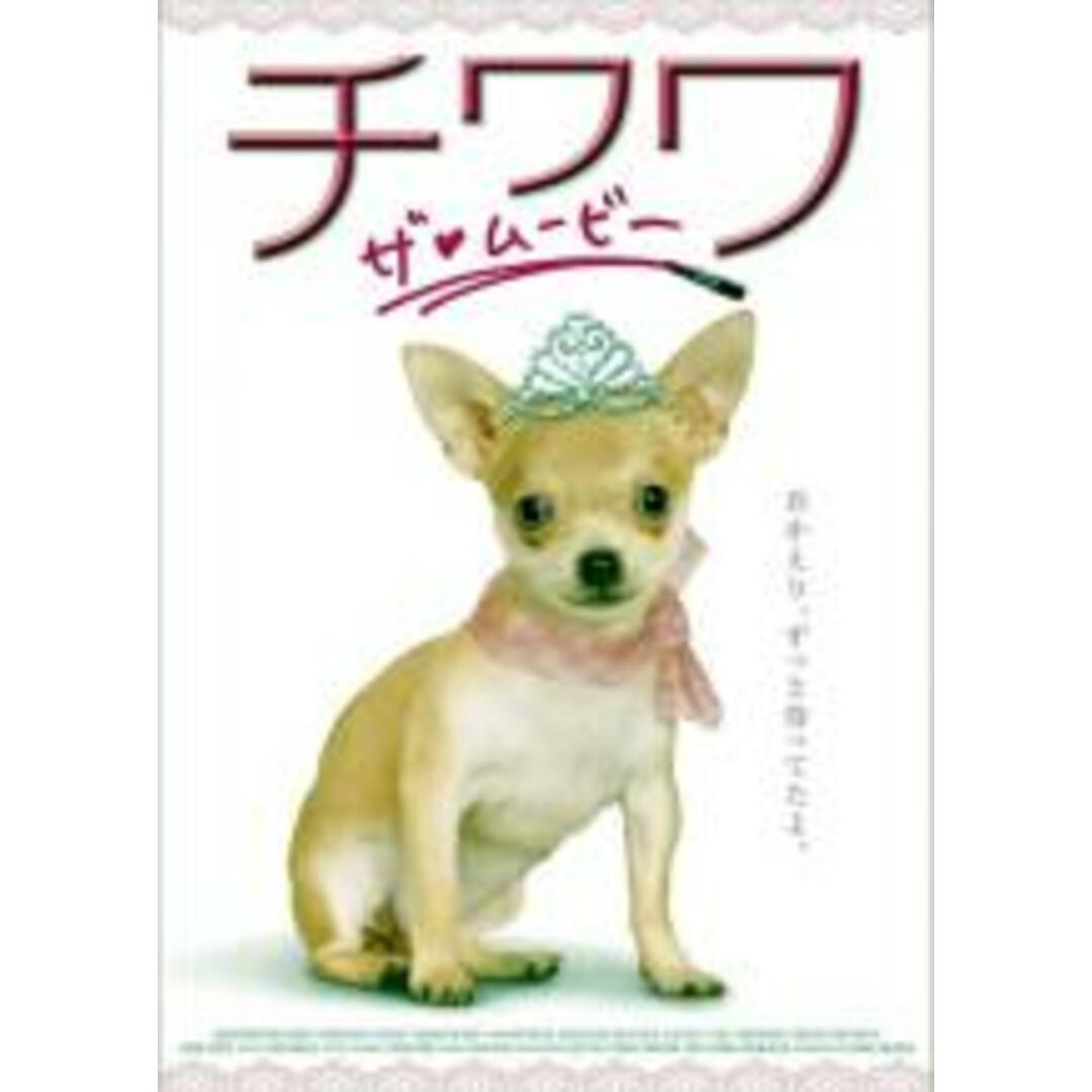 【中古】DVD▼チワワ ザ・ムービー レンタル落ち エンタメ/ホビーのDVD/ブルーレイ(外国映画)の商品写真