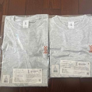 ディーオーディー(DOD)のDOD 干支Ｔシャツ(巳) Lサイズ&Sサイズ(Tシャツ/カットソー(半袖/袖なし))