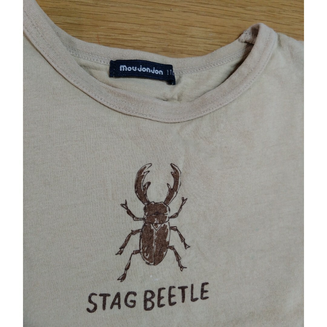 昆虫Tシャツ110 キッズ/ベビー/マタニティのキッズ服男の子用(90cm~)(Tシャツ/カットソー)の商品写真