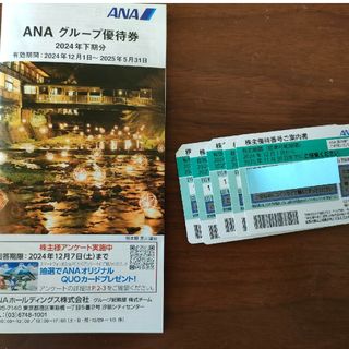 エーエヌエー(ゼンニッポンクウユ)(ANA(全日本空輸))のANA全日空　株主優待(その他)