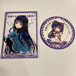 しゅごキャラ アニメイトカフェ なぎひこ 特典 ブロマイド コースター(その他)