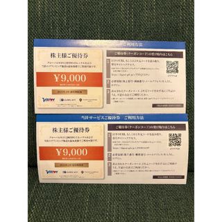 最新 ビジョン 株主優待 18000円分(3000円×6枚)(その他)