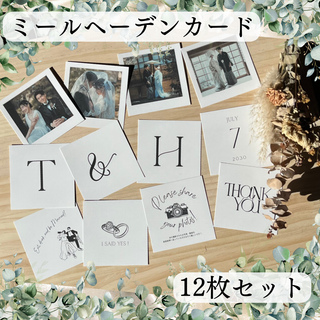 ミールヘーデンカード【最短翌日発送】結婚式 ウェルカムスペース ましかくカード(その他)