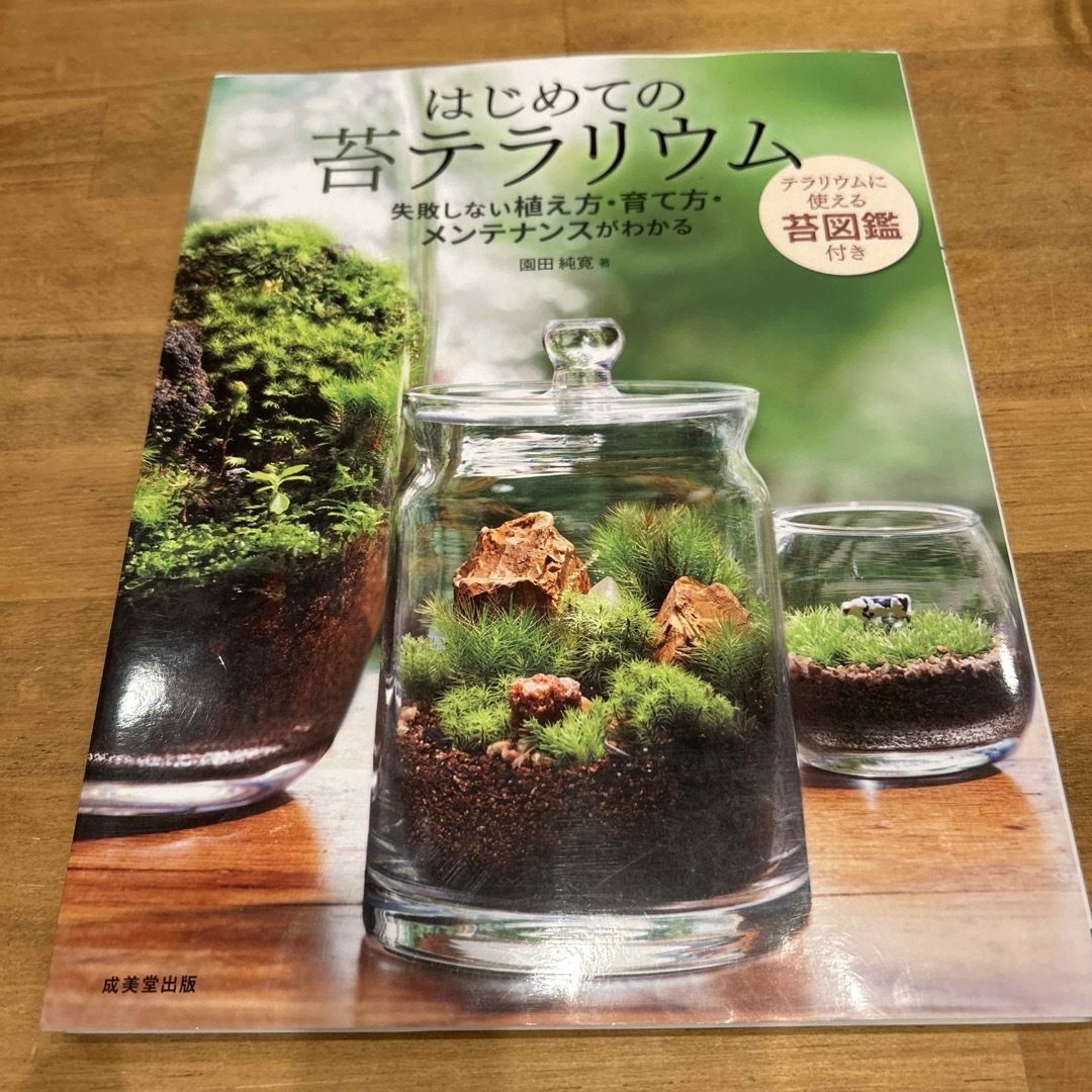 はじめての苔テラリウム エンタメ/ホビーの本(趣味/スポーツ/実用)の商品写真