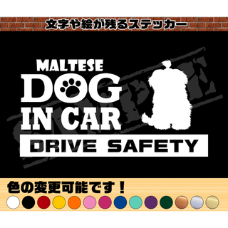 マルチーズ②・犬種名・DOG IN CAR・DRIVE SAFETY ステッカー(車外アクセサリ)
