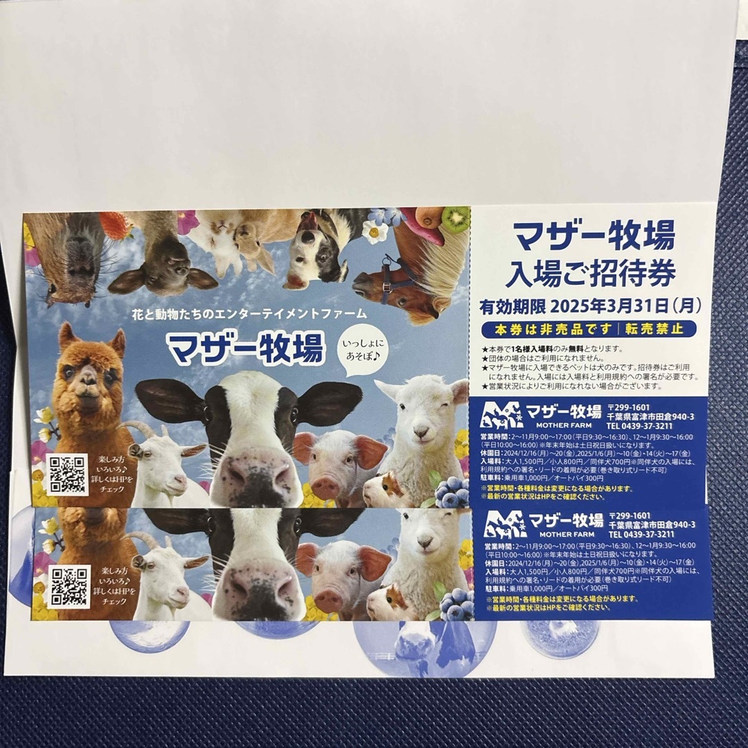 マザー牧場 入場ご招待券 2枚セット① チケットの施設利用券(動物園)の商品写真