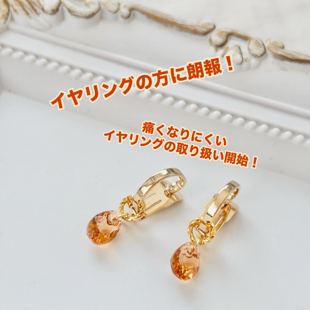 あや様 専用ページ レディースのアクセサリー(イヤリング)の商品写真