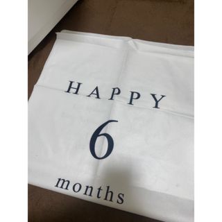 半額以下!定価19万○撥水ポリエステル 東旭 雅 4m6点セット 半額以下!定価19万○撥水ポリエステル 東旭 雅 4m6点セット