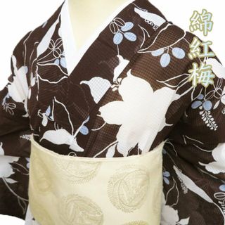 特選 夏物 小紋 浴衣 着物 中古 木綿 カジュアル 綿紅梅 植物文様 萩 焦茶色 多色 身丈159cm 裄68cm M きもの北條 A1162-11(浴衣)