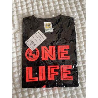 ルースイソンブラ(LUZ e SOMBRA)の【新品】ルースイソンブラ 半袖Tシャツ 160cm(Tシャツ/カットソー)