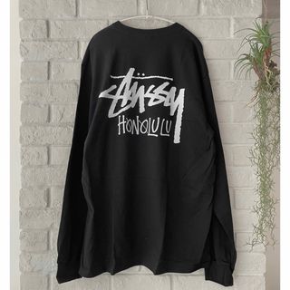 STUSSY - 00sStussyステューシーロンtシャツ長袖メンズホワイト STUSSY - 00sStussyステューシーロンtシャツ長袖メンズホワイト