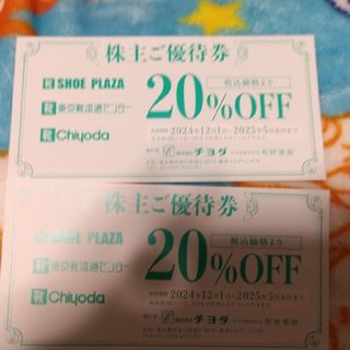 チヨダ　優待券2枚(ショッピング)