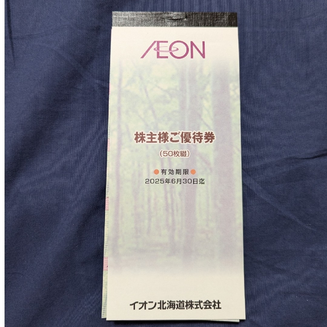 イオン 株主優待券 2400円分 チケットの優待券/割引券(ショッピング)の商品写真