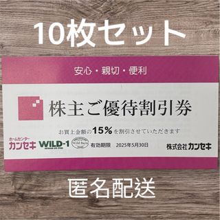 スノーピーク(Snow Peak)のカンセキ　株主優待券　10枚綴り　【匿名配送】(ショッピング)