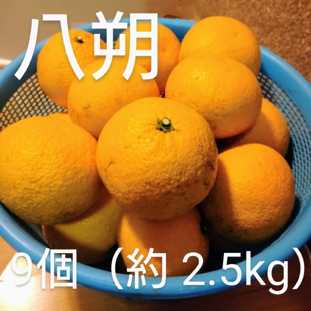【お得】はっさく 約 2.5kg (9個) 食品/飲料/酒の食品(フルーツ)の商品写真