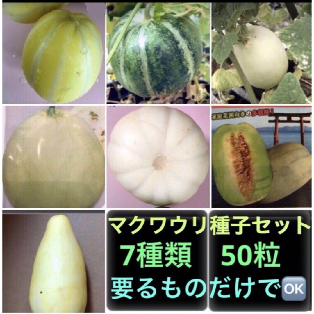 マクワウリ種子セット メロン7種類50粒 ハンドメイドのフラワー/ガーデン(その他)の商品写真
