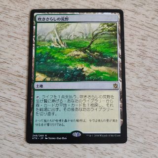 マジック:ザ・ギャザリング - MTG 公式百科事典 初版発行 の マジック:ザ・ギャザリング - MTG 公式百科事典 初版発行 の