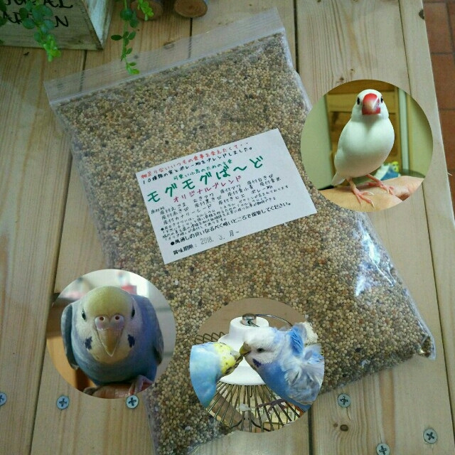 モグモグばーど 生きた種10穀ブレンド  鳥の餌 その他のペット用品(小動物)の商品写真