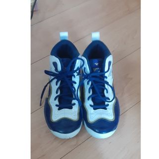 ミズノ(MIZUNO)のミズノ　バスケットシューズ　25㌢(バスケットボール)