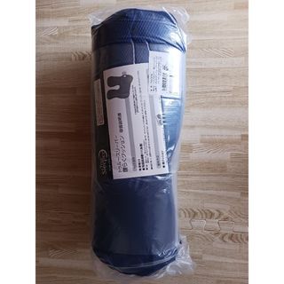 True Sleeper - 【新品未使用】トゥルースリーパー 低反発座布団 True Sleeper - 【新品未使用】トゥルースリーパー 低反発座布団