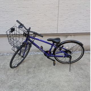 NICO2さん専用 ディズニーラプンツェル 自転車 16インチ 美品 NICO2さん専用 ディズニーラプンツェル 自転車 16インチ 美品